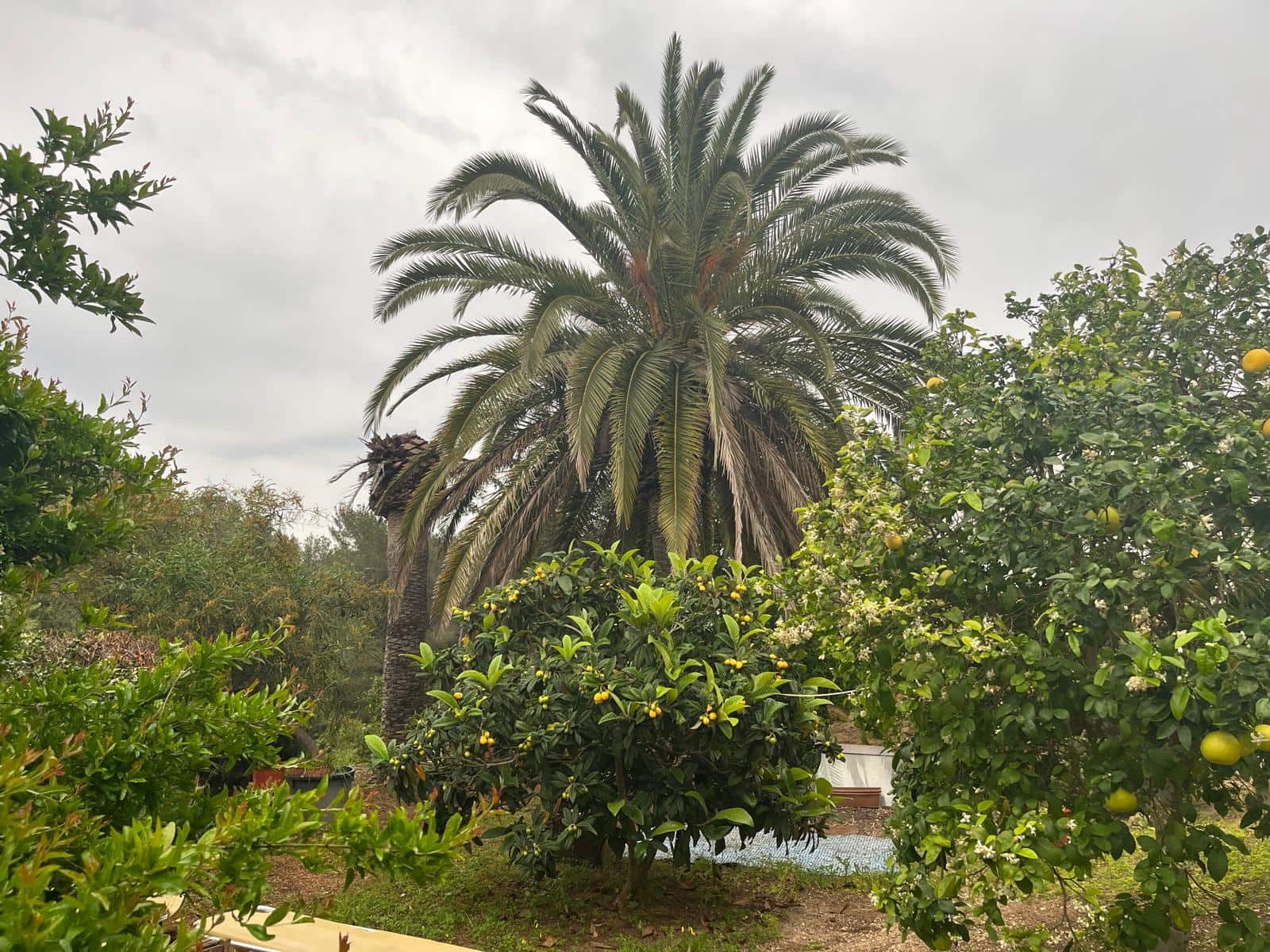 4 slaapkamer Villa te koop in Javea / Xabia - € 690.000 (Ref: 9457851)