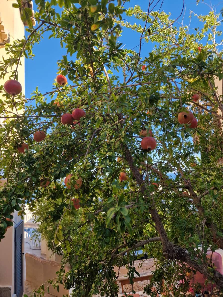 5 camera da letto Villa in vendita in Benitachell / Benitatxell con piscina - 729.750 € (Rif: 9457854)