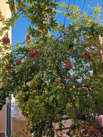 5 makuuhuone Huvila myytävänä paikassa Cumbre del Sol, Benitachell / Benitatxell mukana uima-altaan - 729 750 € (Ref: 9457854)