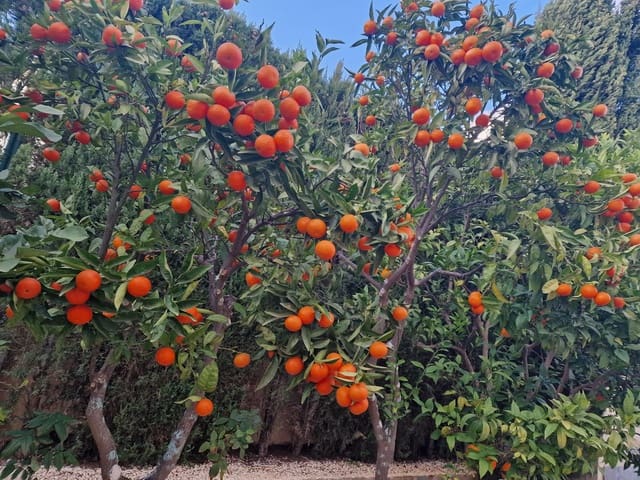 5 makuuhuone Huvila myytävänä paikassa Cumbre del Sol, Benitachell / Benitatxell mukana uima-altaan - 729 750 € (Ref: 9457854)