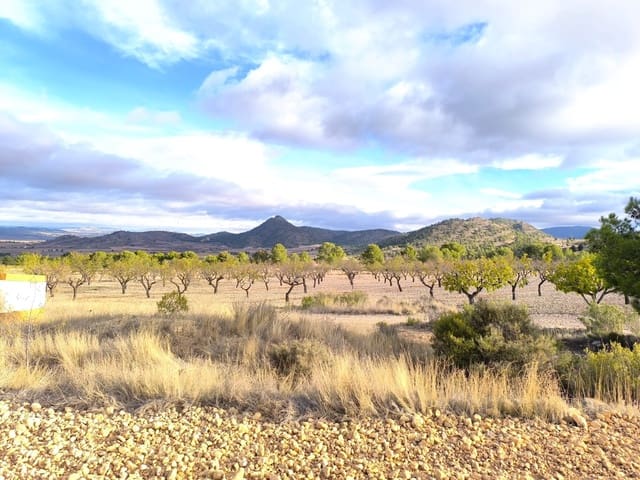 Finca/Casa Rural de 5 habitaciones en Yecla en venta con garaje - 2.400.000 € (Ref: 9473839)
