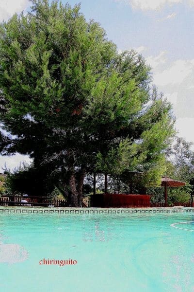 3 chambre Finca/Maison de Campagne à vendre à Gea y Truyols avec piscine - 590 000 € (Ref: 9499415)