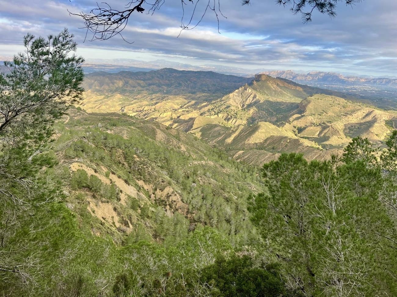 3 slaapkamer Finca/Landhuis te koop in Gea y Truyols met zwembad garage - € 599.000 (Ref: 9499417)