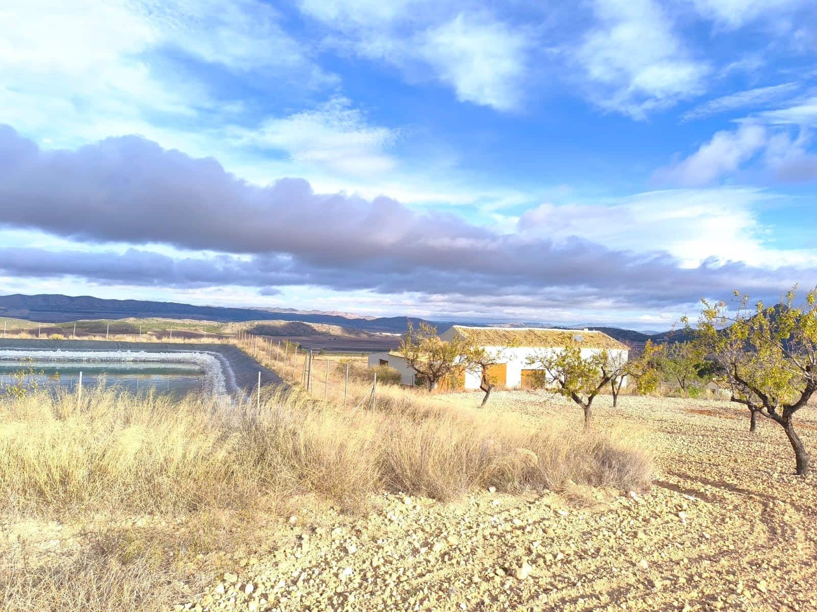 5 bedroom Finca/Country House for sale in Yecla with garage - € 2,400,000 (Ref: 9499420)