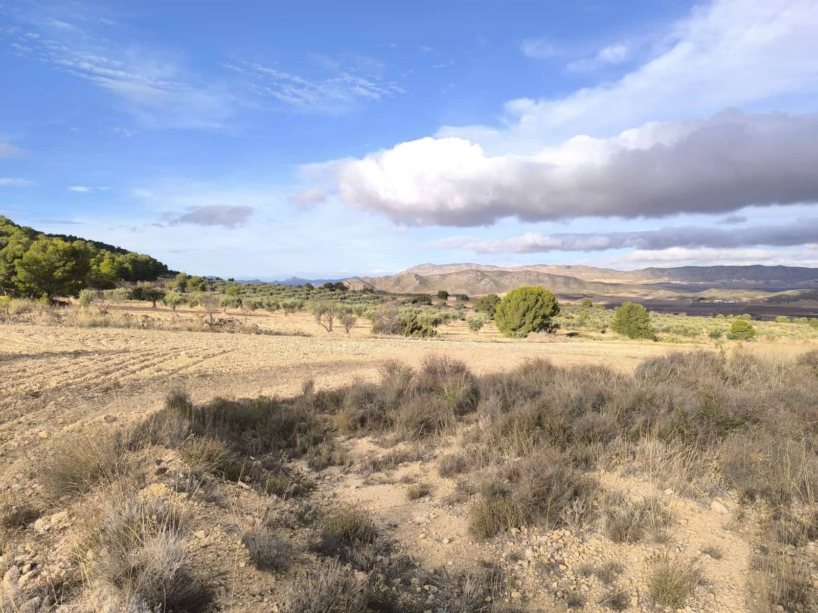 5 bedroom Finca/Country House for sale in Yecla with garage - € 2,400,000 (Ref: 9499420)