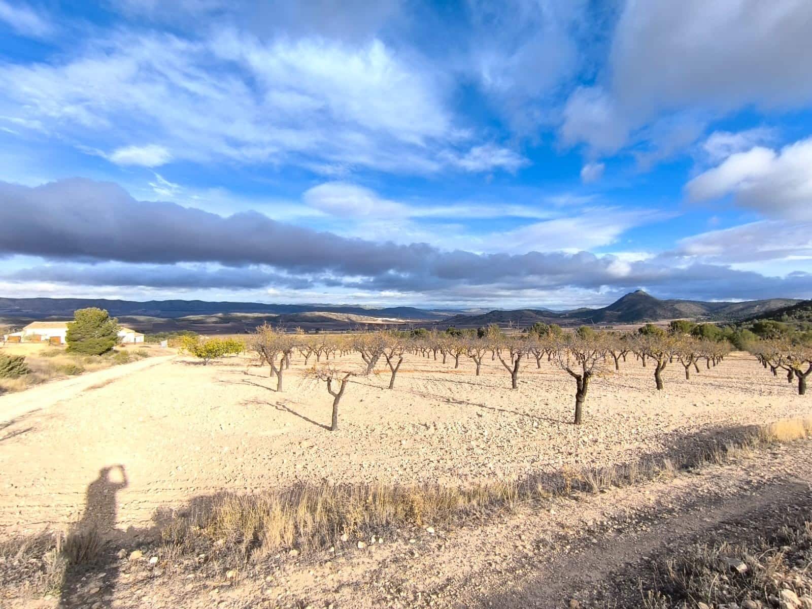 5 bedroom Finca/Country House for sale in Yecla with garage - € 2,400,000 (Ref: 9499420)