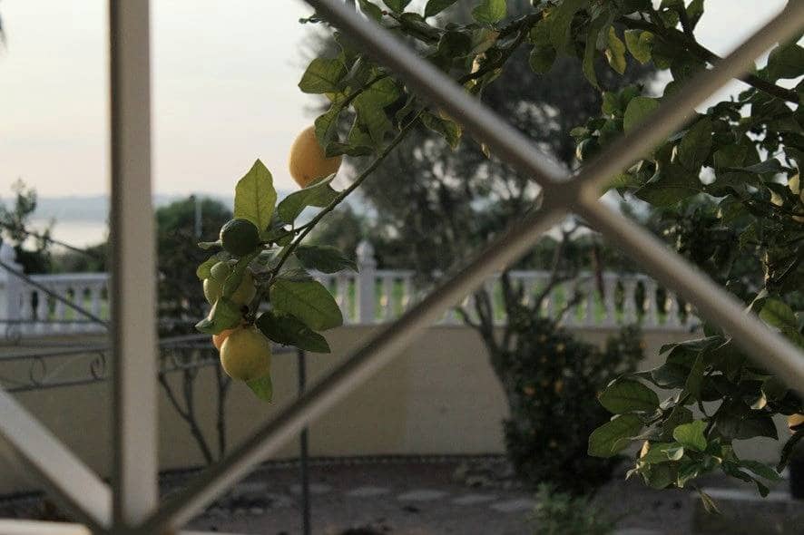 6 bedroom Villa for sale in Torrevieja with pool - € 539,000 (Ref: 9499428)