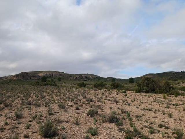 Quinta/Casa Rural para venda em Yecla - 570 000 € (Ref: 9499485)