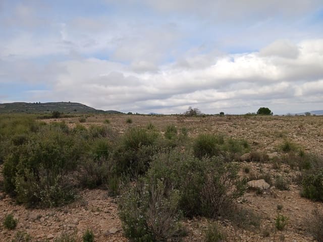 Quinta/Casa Rural para venda em Yecla - 570 000 € (Ref: 9499485)