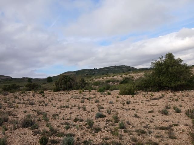 Quinta/Casa Rural para venda em Yecla - 570 000 € (Ref: 9499485)