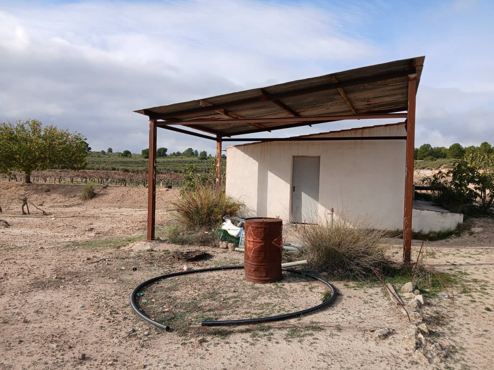 Quinta/Casa Rural para venda em Yecla - 570 000 € (Ref: 9499485)