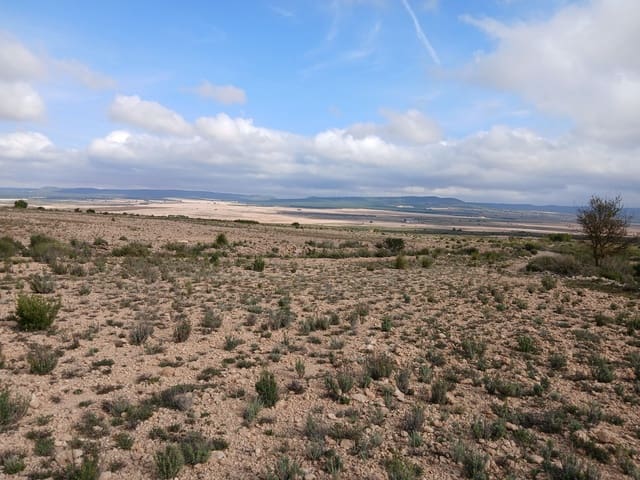 Quinta/Casa Rural para venda em Yecla - 570 000 € (Ref: 9499485)