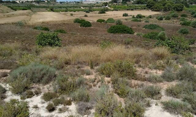 Ubebygd land til salgs i Pinar de Campoverde, Pilar de la Horadada - € 976 980 (Ref: 9499489)