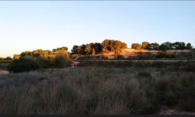 Ubebygd land til salgs i Pinar de Campoverde, Pilar de la Horadada - € 976 980 (Ref: 9499489)