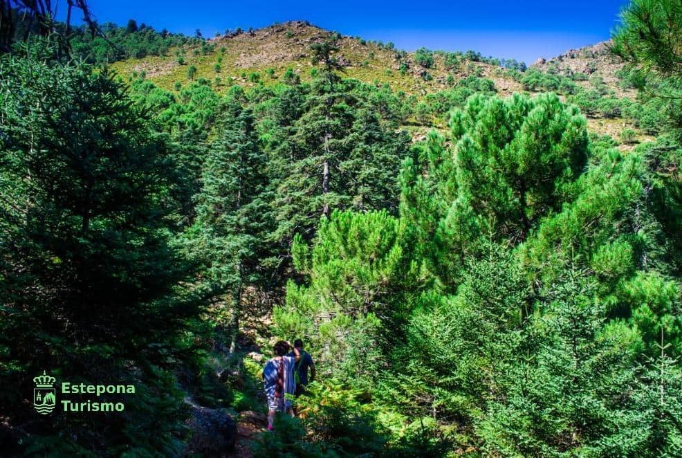 3 soverom Penthouse til salgs i Estepona med svømmebasseng garasje - € 782 700 (Ref: 9518306)