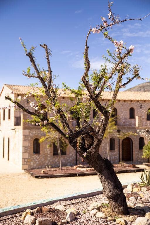 16 soveværelse Erhverv til salg i Lliber - € 4.000.000 (Ref: 9521063)