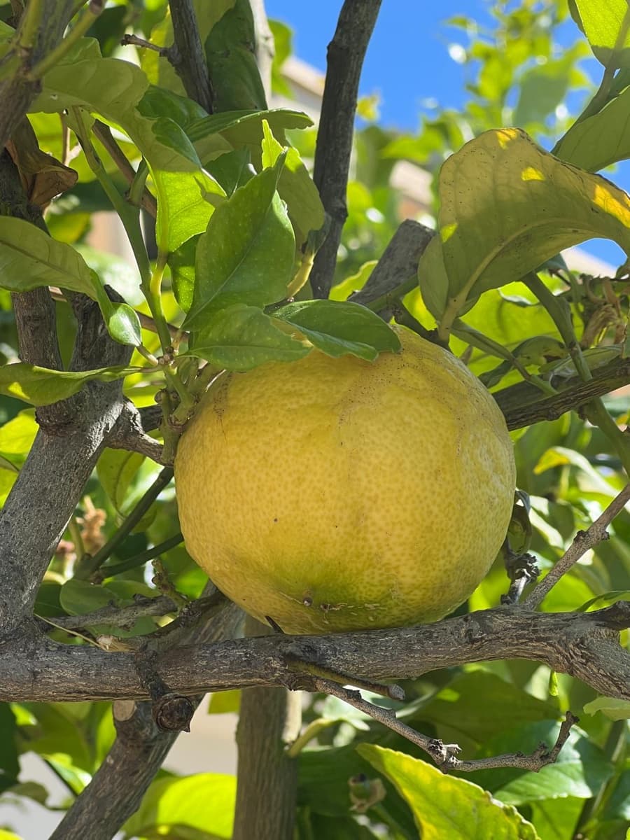 4 quarto Moradia para venda em Moraira com garagem - 1 640 000 € (Ref: 9533208)