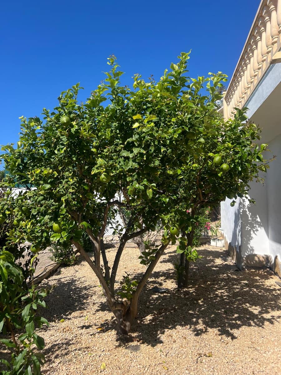 4 quarto Moradia para venda em Moraira com garagem - 1 640 000 € (Ref: 9533208)