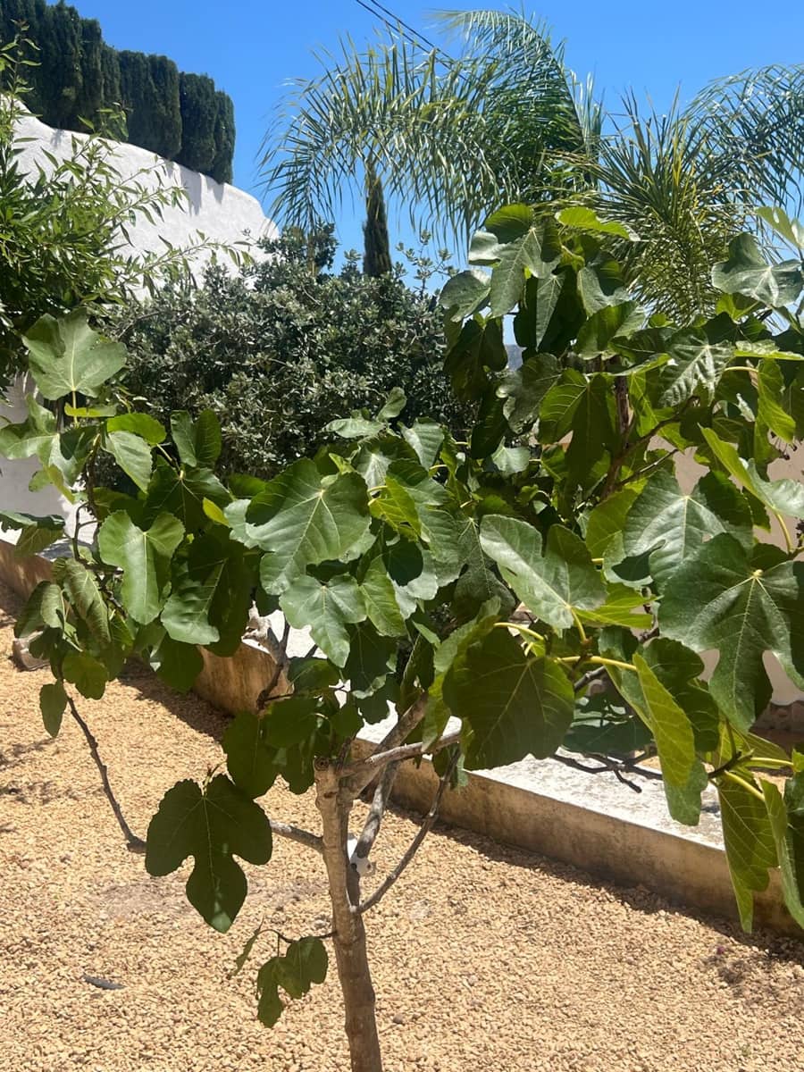 4 soverom Villa til salgs i Moraira med garasje - € 1 565 000 (Ref: 9533208)