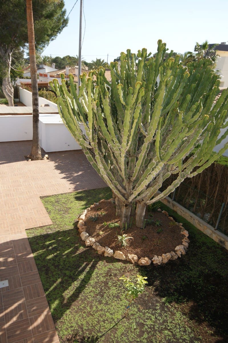 4 makuuhuone Huvila myytävänä paikassa Cabo Roig mukana uima-altaan - 910 000 € (Ref: 9564086)