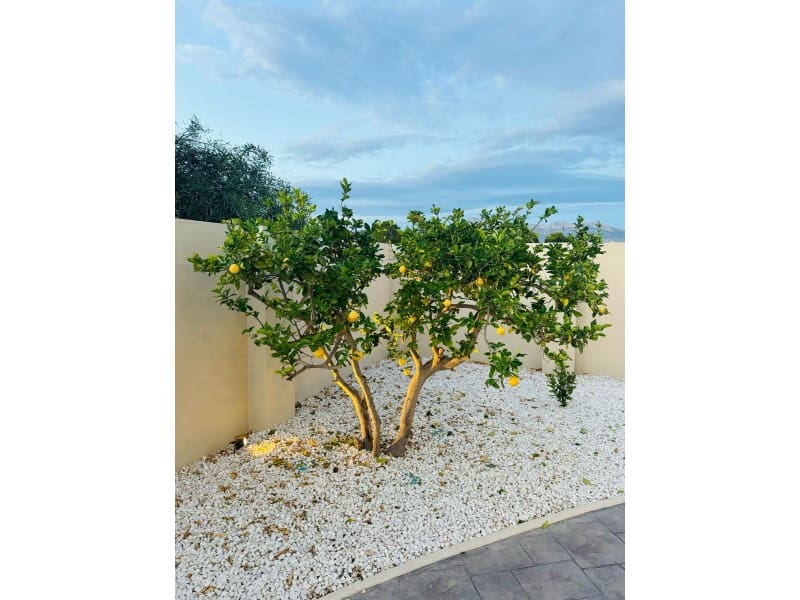 4 soveværelse Villa til salg i Alfaz del Pi / L'Alfas del Pi - € 1.195.000 (Ref: 9570675)