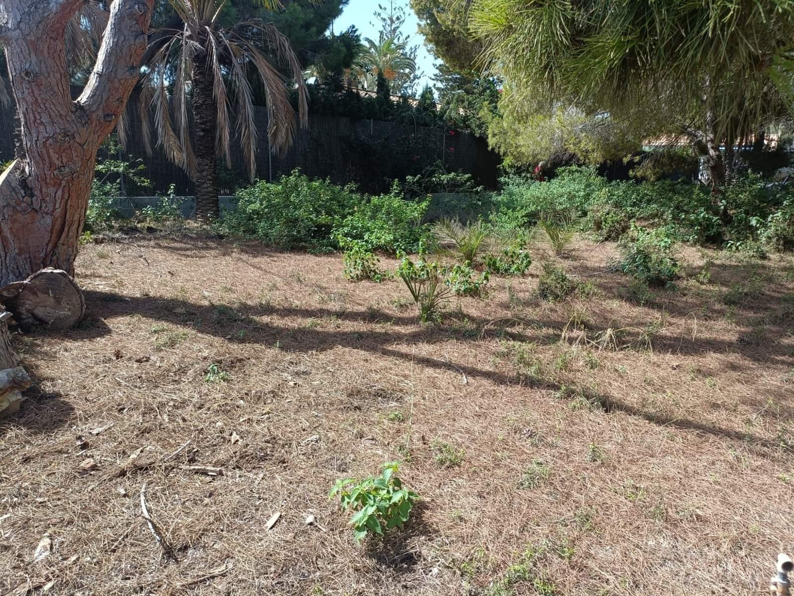 Tomt till salu i Cabo Roig - 1 100 000 € (Ref: 9576878)