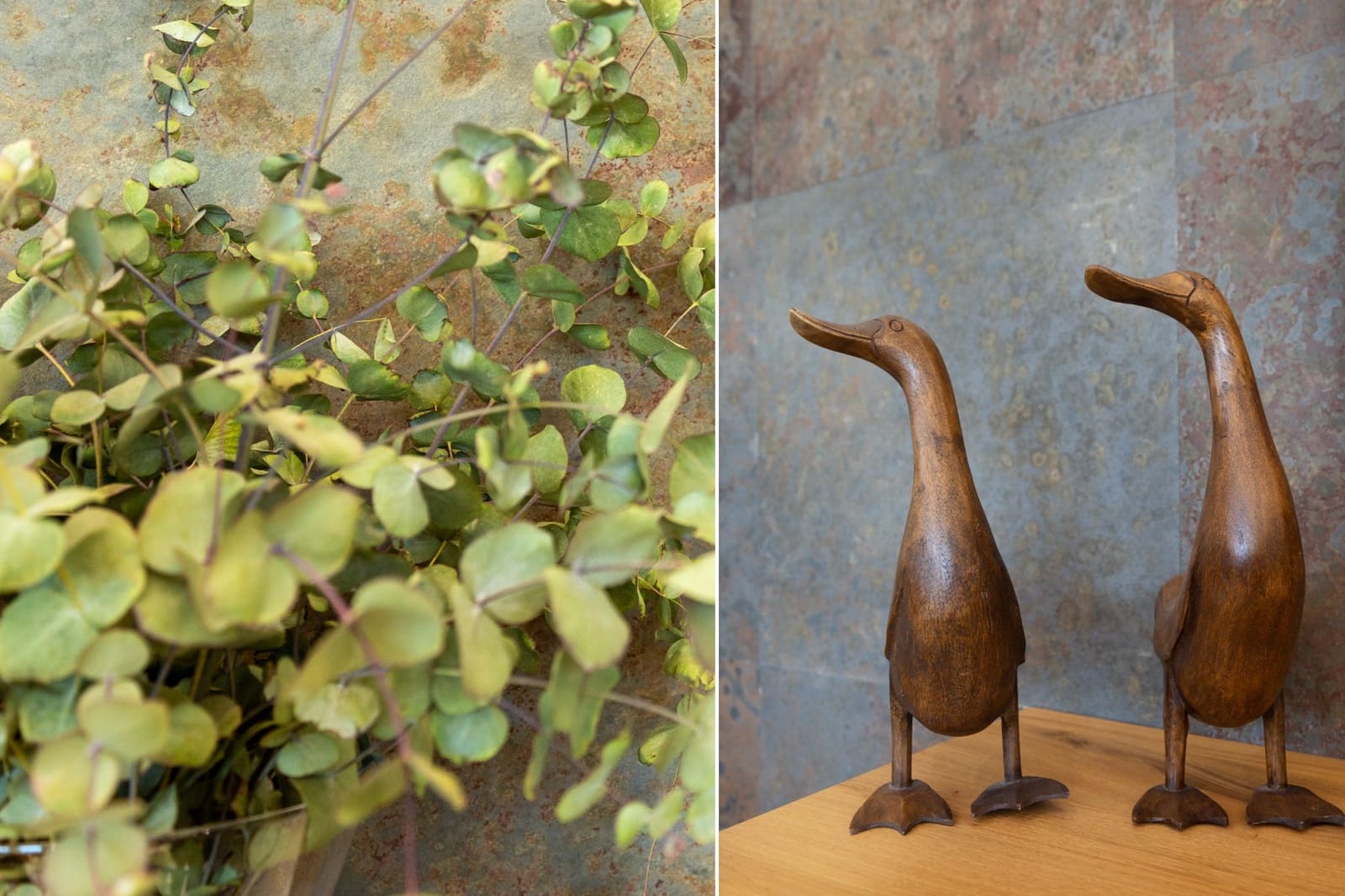 4 makuuhuone Huvila myytävänä paikassa San Vicente / Sant Vicent del Raspeig mukana uima-altaan 
autotalli - 939 000 € (Ref: 9657945)