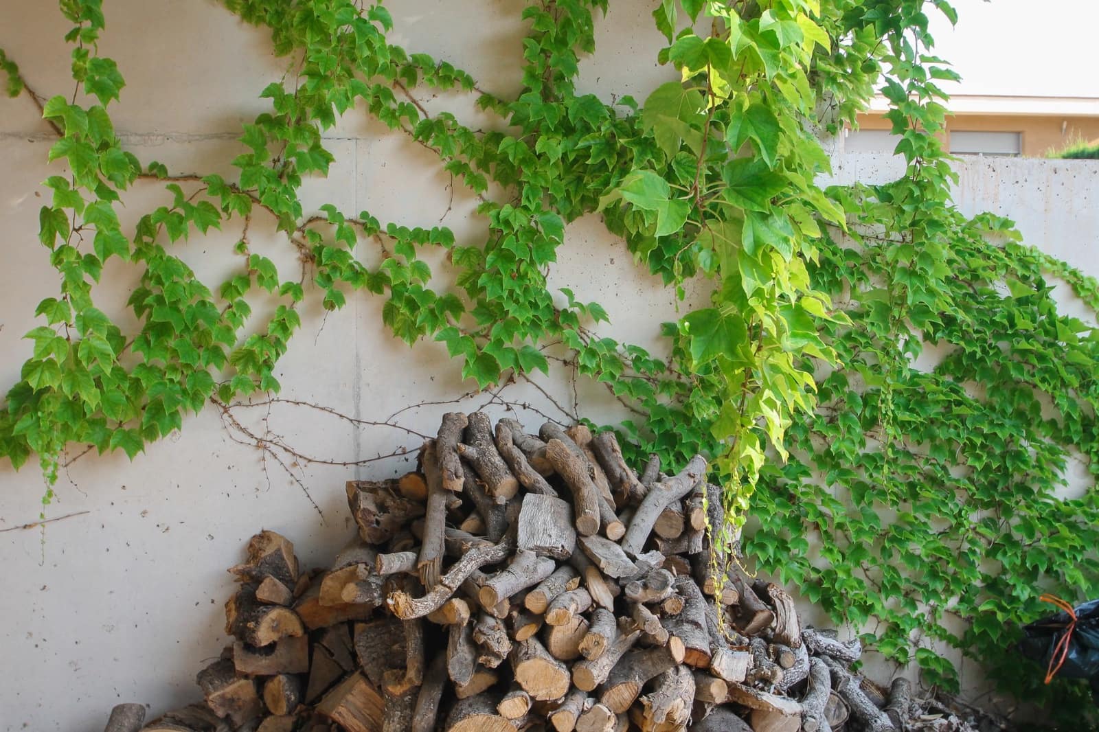 3 makuuhuone Huvila myytävänä paikassa San Vicente / Sant Vicent del Raspeig mukana uima-altaan 
autotalli - 1 250 000 € (Ref: 9657949)