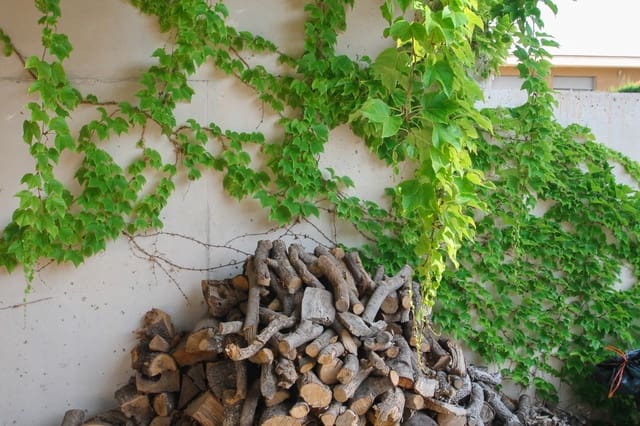 3 bedroom Villa for sale in San Vicente / Sant Vicent del Raspeig with pool garage - € 1,250,000 (Ref: 9657949)