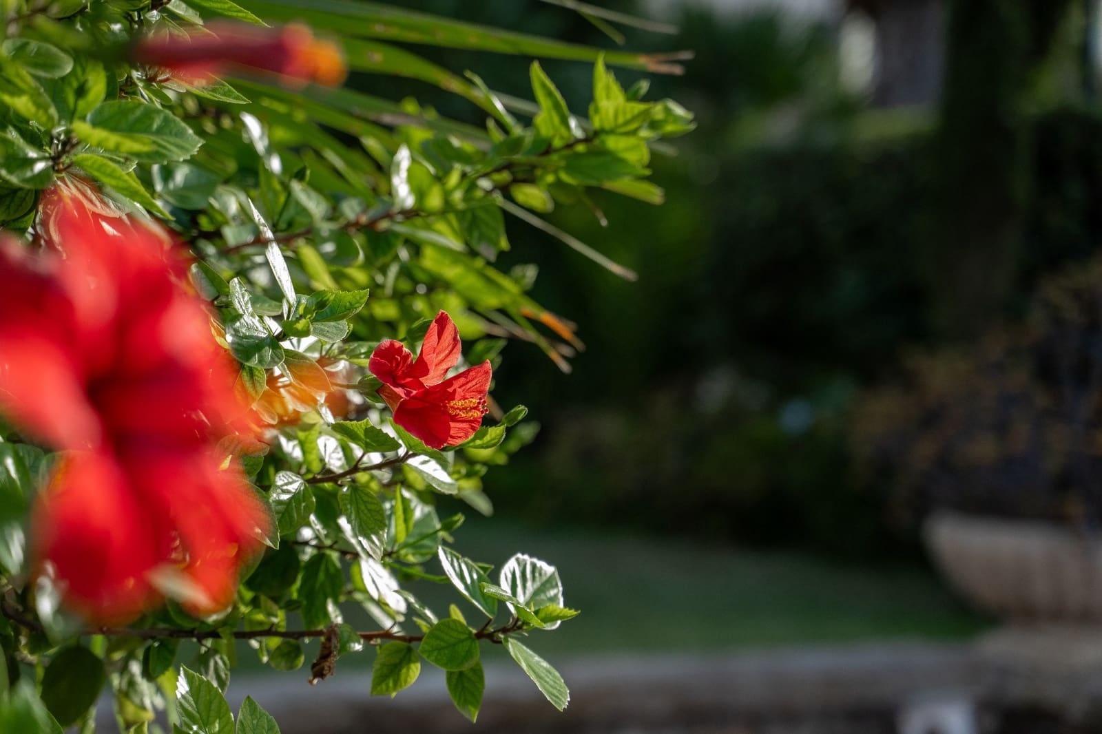 8 Zimmer Villa zu verkaufen in Alicante / Alacant Stadt mit Pool Garage - 1.600.000 € (Ref: 9657954)