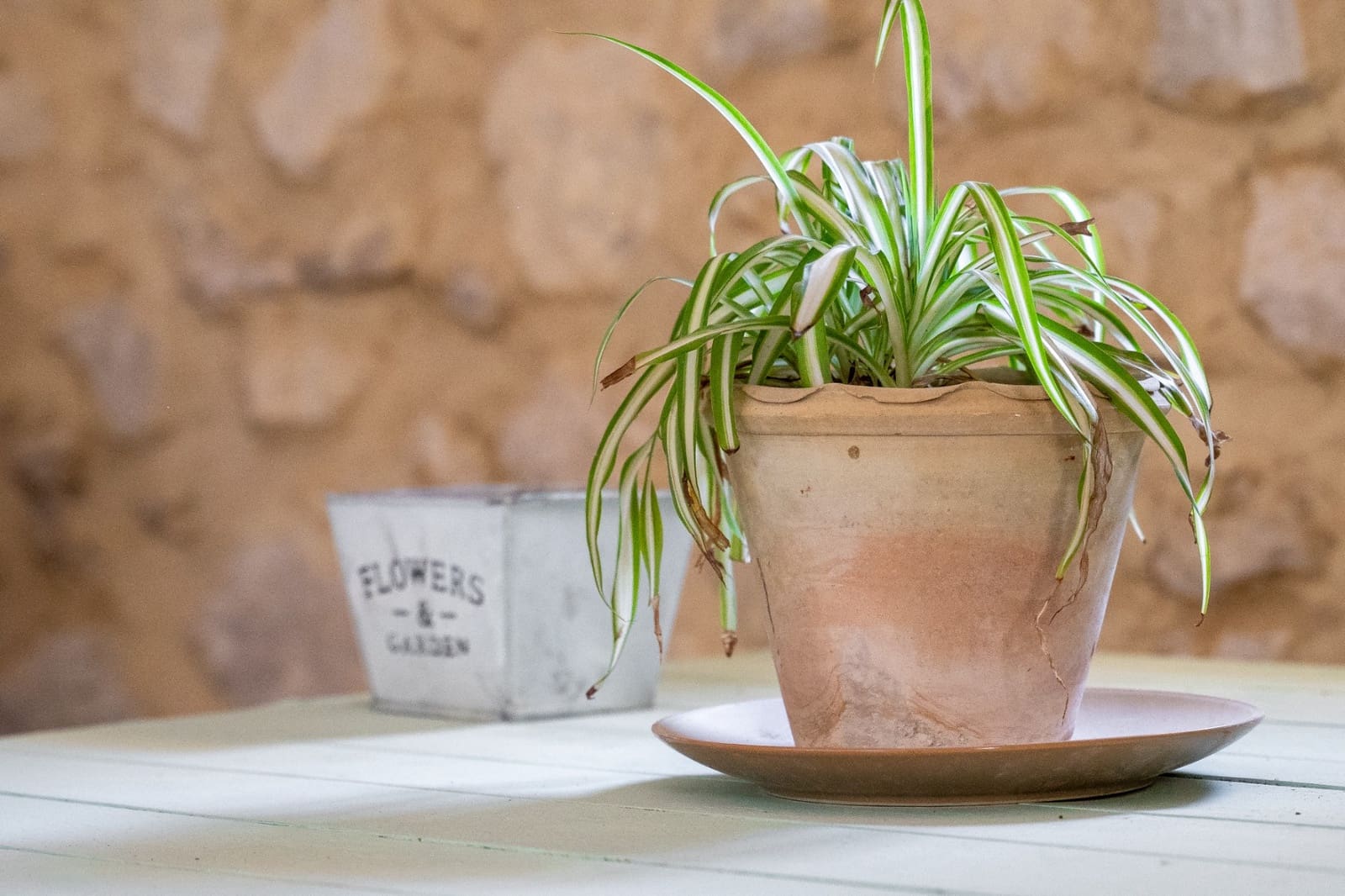 12 sovrum Finca/Hus på landet till salu i Castalla - 799 000 € (Ref: 9658032)