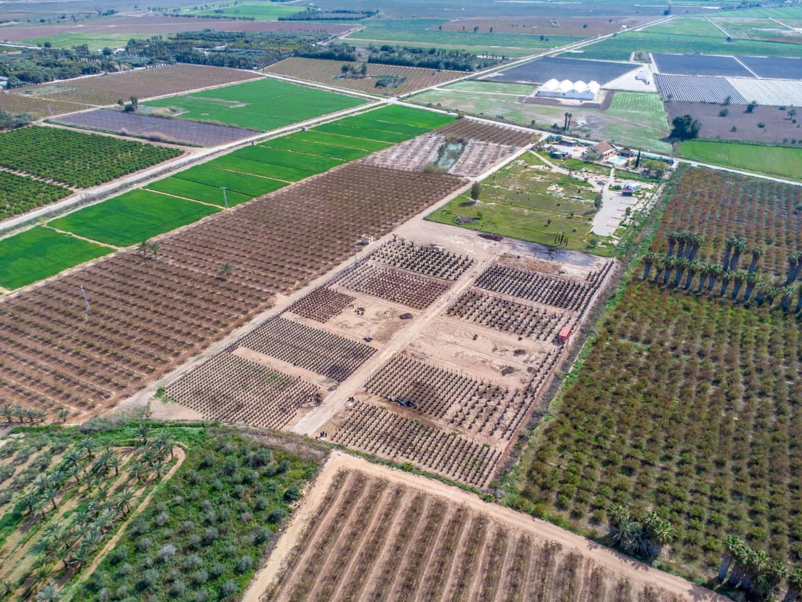 5 sypialnia Finka/Dom wiejski na sprzedaż w Albatera z basenem garażem - 750 000 € (Ref: 9689948)