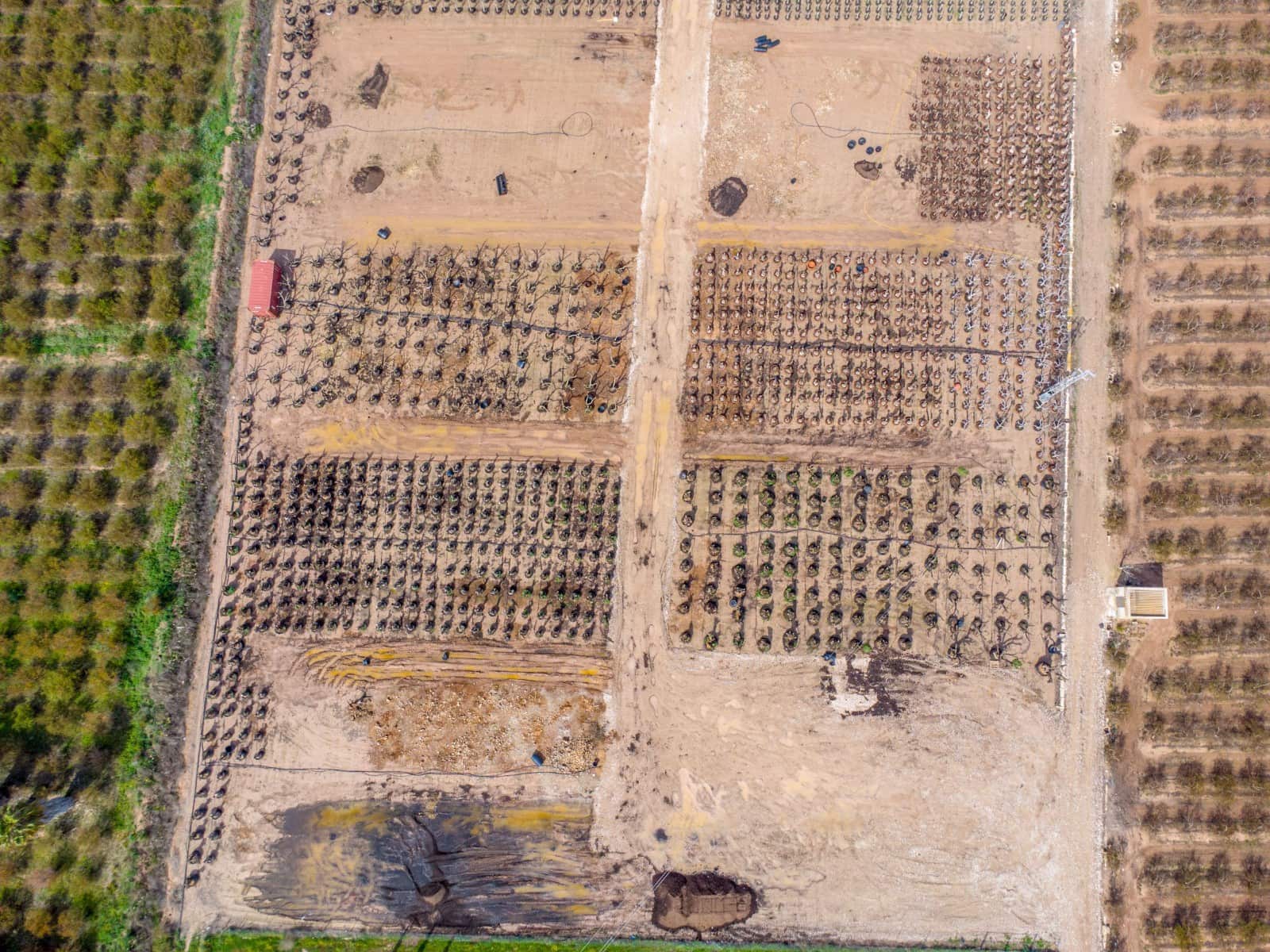 5 sypialnia Finka/Dom wiejski na sprzedaż w Albatera z basenem garażem - 750 000 € (Ref: 9689948)