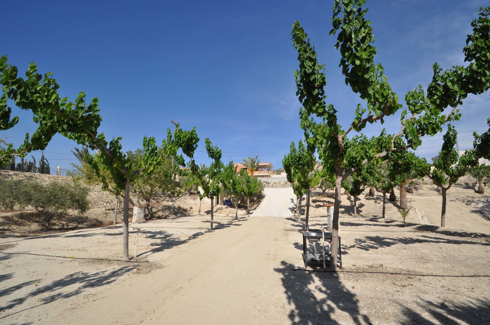 4 bedroom Commercial for sale in Abanilla with pool garage - € 2,799,995 (Ref: 9696953)