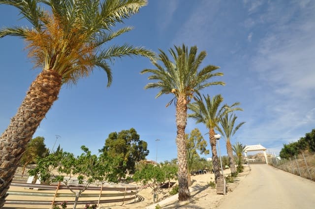 Local Comercial de 4 habitaciones en Abanilla en venta con piscina garaje - 2.799.995 € (Ref: 9696953)