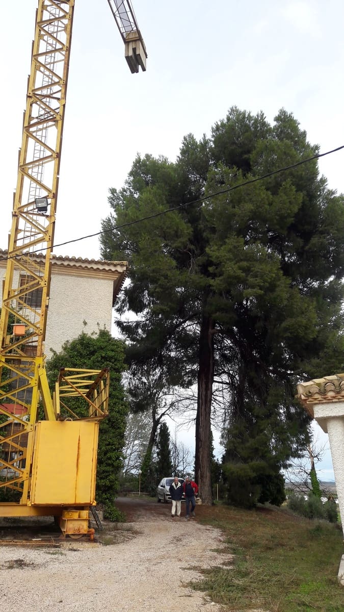 10 bedroom Finca/Country House for sale in Caravaca de la Cruz - € 900,000 (Ref: 9721432)