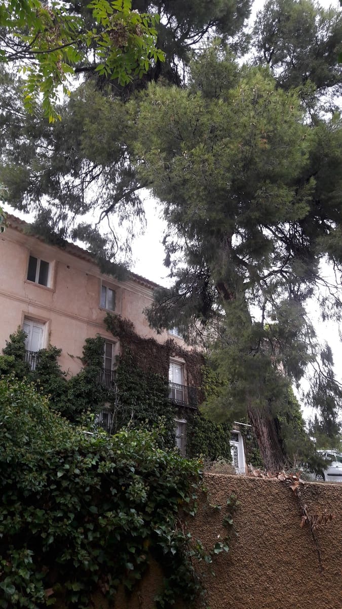 10 bedroom Finca/Country House for sale in Caravaca de la Cruz - € 900,000 (Ref: 9721432)