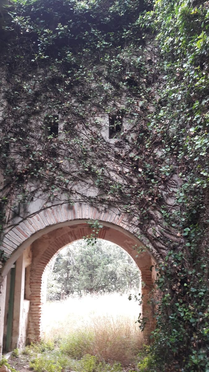 10 bedroom Finca/Country House for sale in Caravaca de la Cruz - € 900,000 (Ref: 9721432)