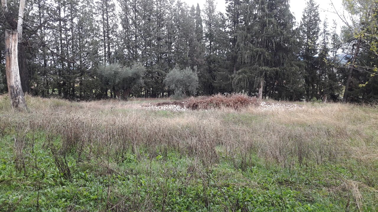 10 bedroom Finca/Country House for sale in Caravaca de la Cruz - € 900,000 (Ref: 9721432)