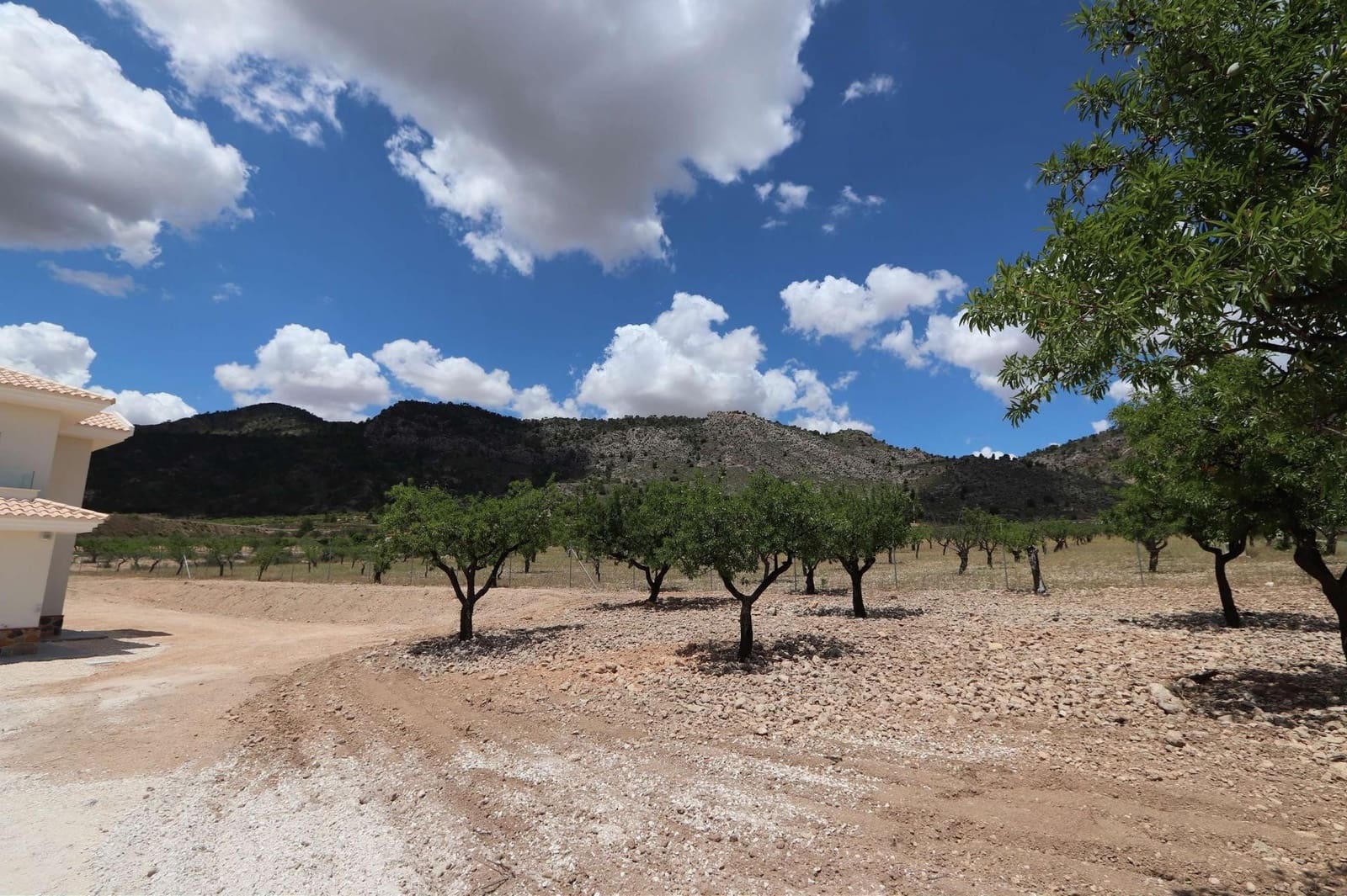 4 bedroom Villa for sale in Pinoso with pool - € 547,000 (Ref: 9729782)