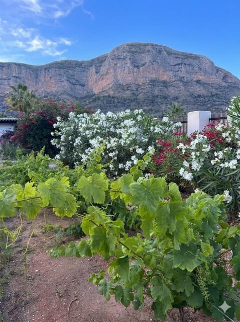 5 camera da letto Finca/Casa di Campagna in vendita in Javea / Xabia - 2.190.000 € (Rif: 9742988)