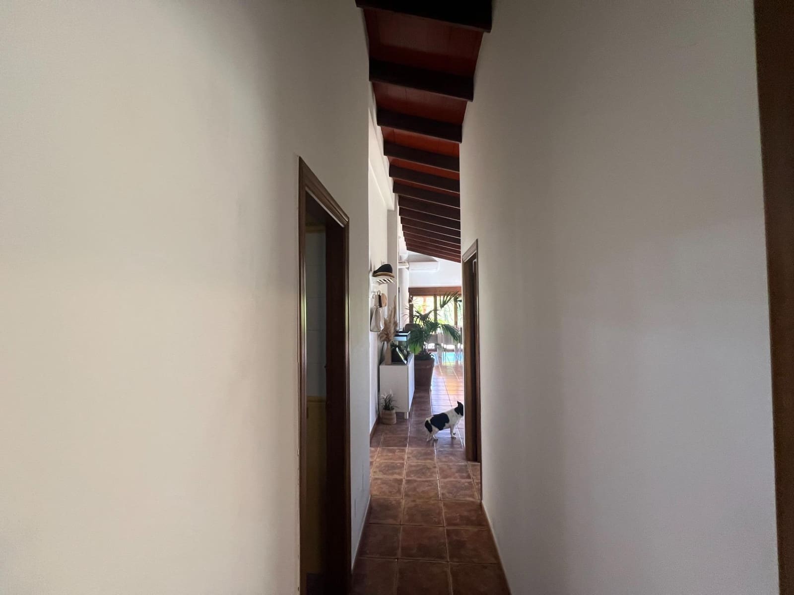 4 bedroom Finca/Country House for sale in Dolores with pool - € 525,000 (Ref: 9782351)