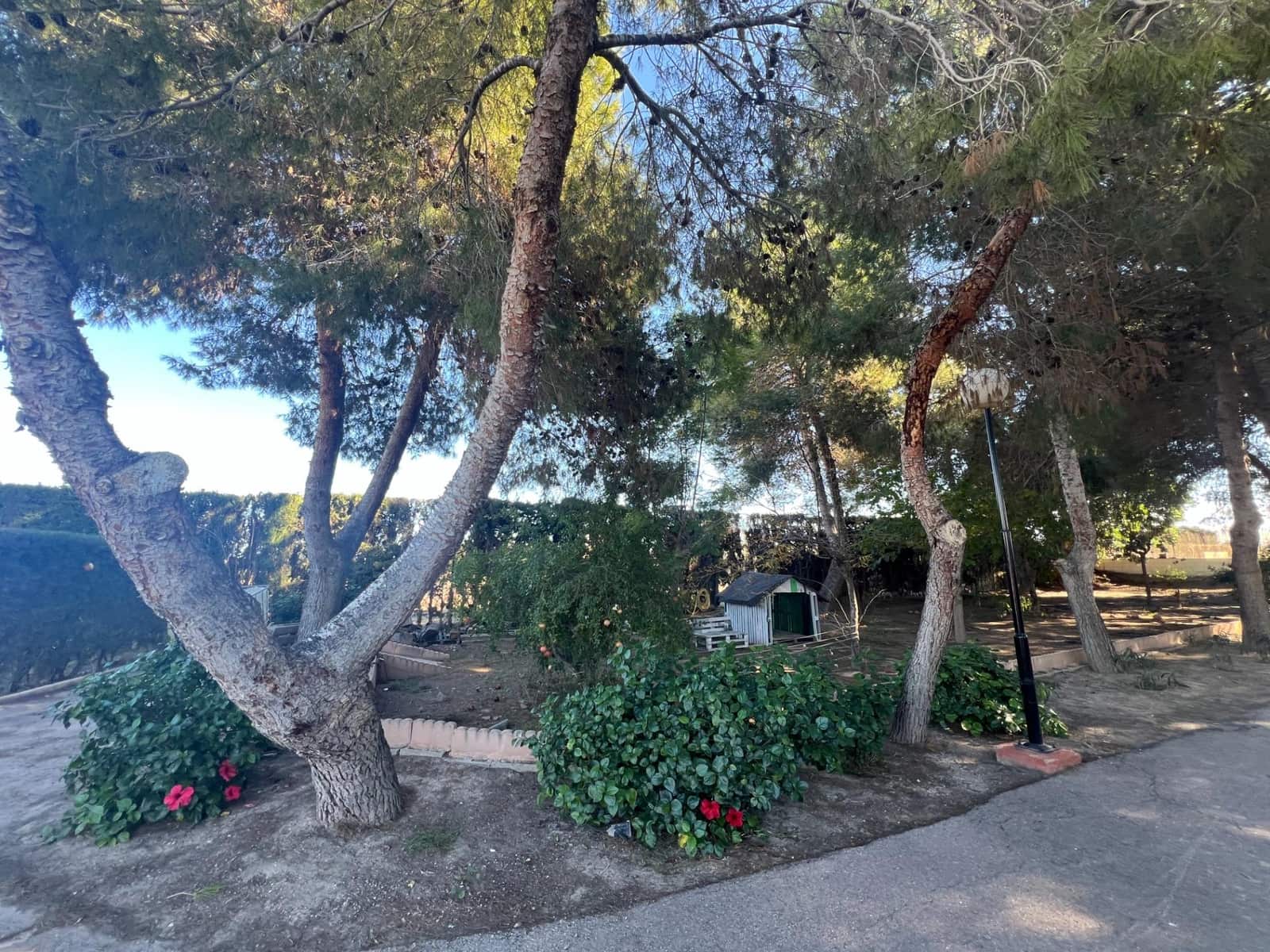 4 bedroom Finca/Country House for sale in Dolores with pool - € 525,000 (Ref: 9782351)