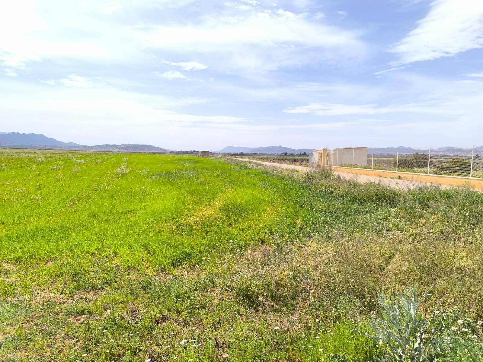 10 bedroom Finca/Country House for sale in Yecla - € 1,000,000 (Ref: 9783481)