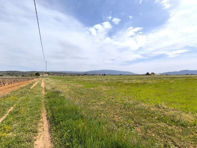 10 Zimmer Finca/Landgut zu verkaufen in Yecla - 1.000.000 € (Ref: 9783481)