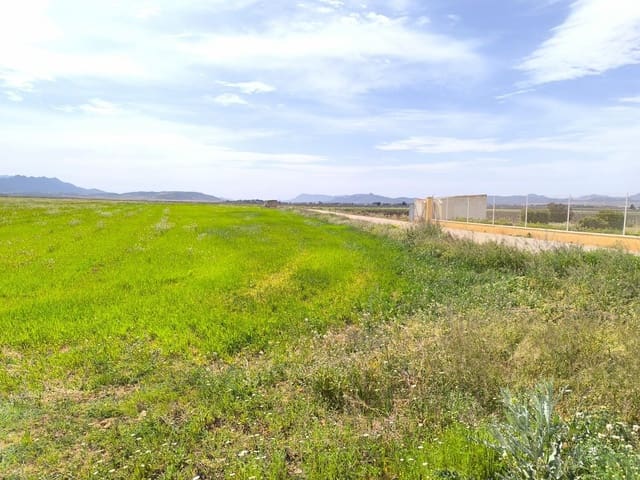 10 Zimmer Finca/Landgut zu verkaufen in Yecla - 1.000.000 € (Ref: 9783481)