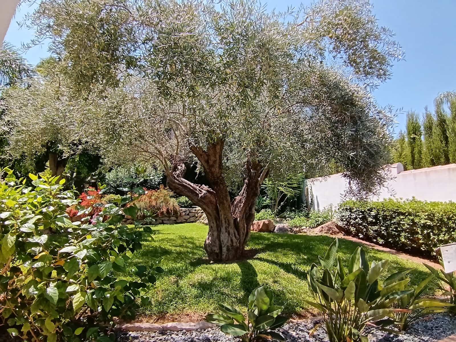 5 camera da letto Villa in vendita in La Sella con piscina garage - 890.000 € (Rif: 9789786)