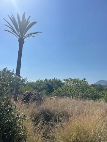 Finca/Maison de Campagne à vendre à Altea - 390 000 € (Ref: 7774772)