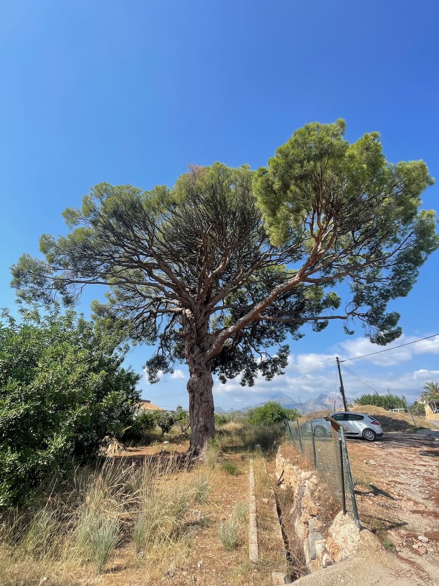 Finca/Landehus til salg i Altea - € 390.000 (Ref: 7774772)