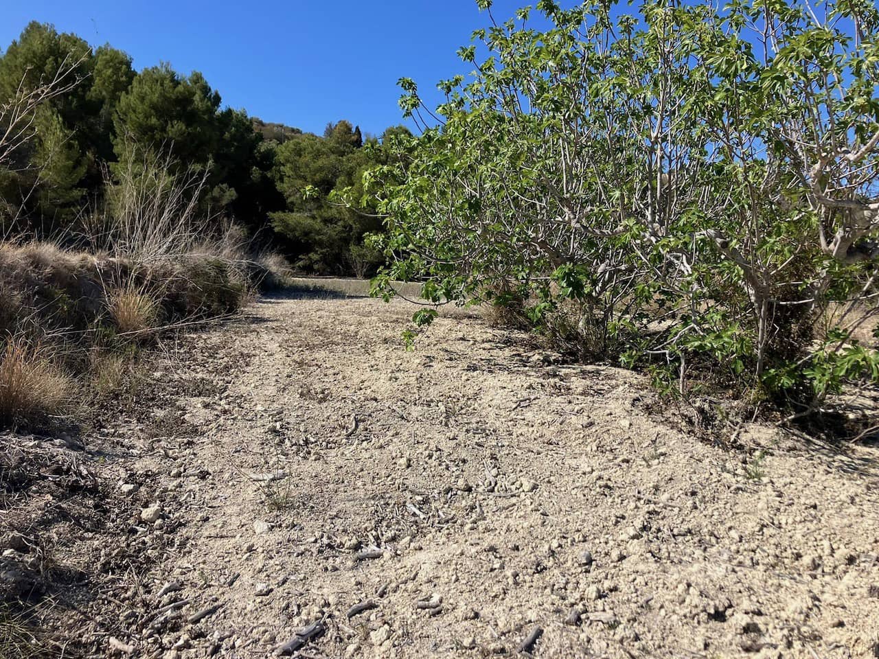 Finca/Country House for sale in Benissa - € 199,000 (Ref: 8314885)